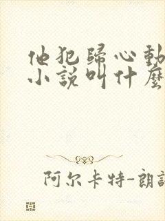 他犯归心动原著小说叫什么名字