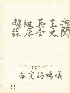 超级兵王混都市苏辰全文阅读