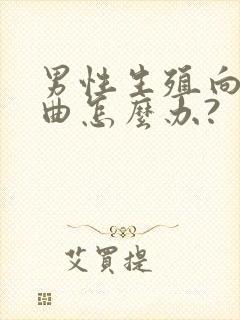 男性生殖向下弯曲怎么办?