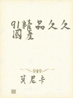 91精品久久久国产