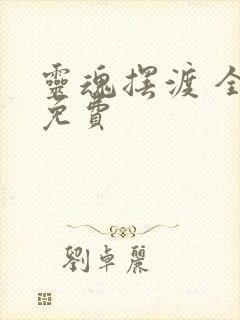 灵魂摆渡 全集免费