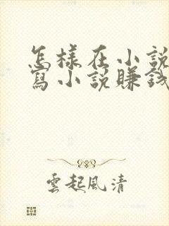 怎样在小说平台写小说赚钱封面