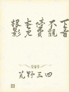 根本停不下来电影免费观看包贝尔