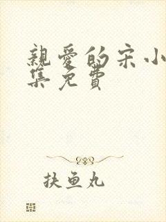 亲爱的宋小姐全集免费封面