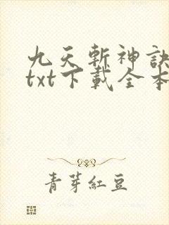 九天斩神诀林辰txt下载全本免费