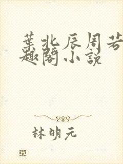 叶北辰周若妤笔趣阁小说