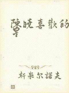 陈晓喜欢的女明星