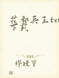 花都兵王txt下载