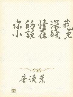 你的情深我不配小说在线免费阅读