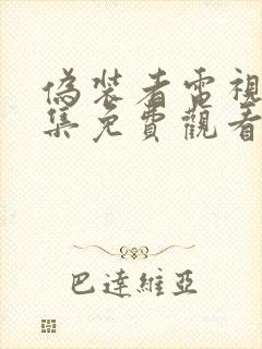 伪装者电视剧全集免费观看星空