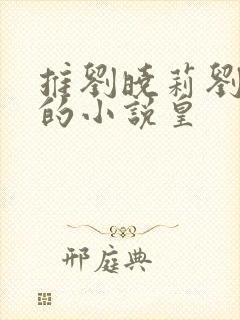 推刘晓莉刘亦菲的小说皇封面