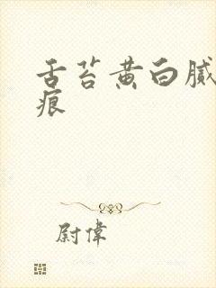 舌苔黄白腻有齿痕