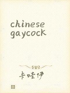 chinesegaycock