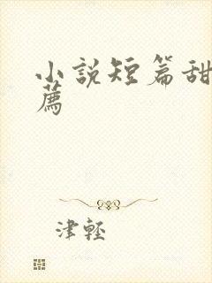 小说短篇甜文推荐封面
