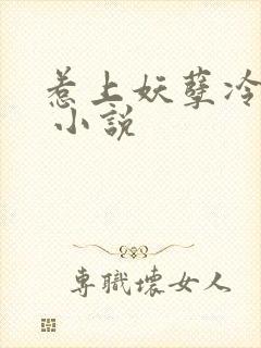 惹上妖孽冷殿下 小说