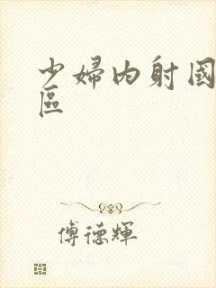 少妇内射国产二区