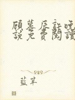 顾慕辰许晚音小说免费阅读最新章节封面