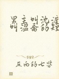 男主叫沈渡女主叫温乔的短剧