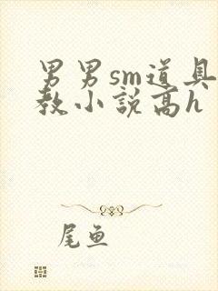 男男sm道具调教小说高h