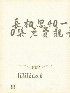 长相思40一60集免费观看