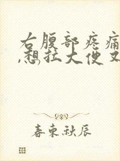 右腹部疼痛想吐,想拉大便又拉不出来封面