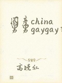 国产china男男gaygay视频