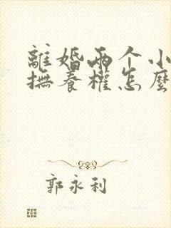 离婚两个小孩子抚养权怎么判定