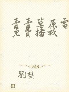 青青草原电视剧免费播放封面