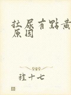 拉尿有点黄什么原因