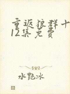 重返狼群十周年12集免费