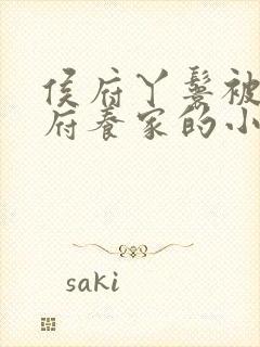 侯府丫鬟被贬归府养家的小说