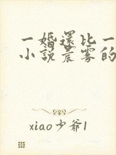 一婚还比一婚高小说晨雾的光