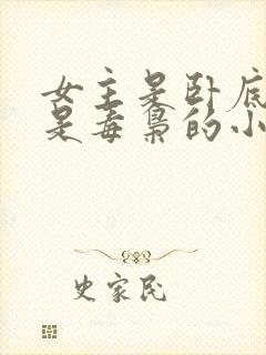 女主是卧底男主是毒枭的小说