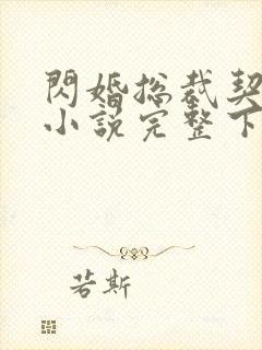 闪婚总裁契约妻小说完整下载