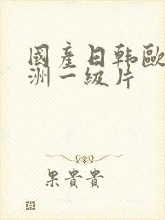 国产日韩欧美亚洲一级片