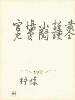 官场小说黄安国免费阅读全文