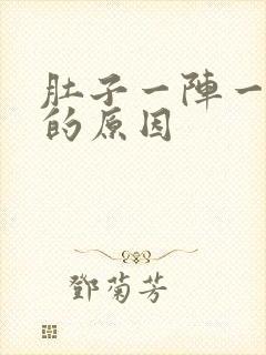 肚子一阵一阵痛的原因