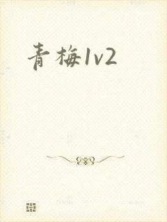 青梅1v2