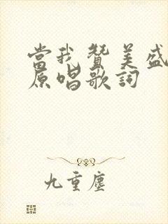 当我赞美盛晓玫原唱歌词