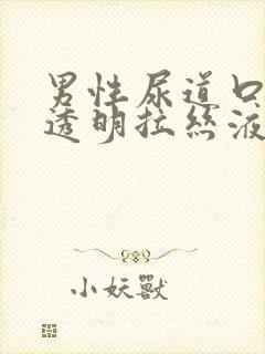 男性尿道口分泌透明拉丝液体