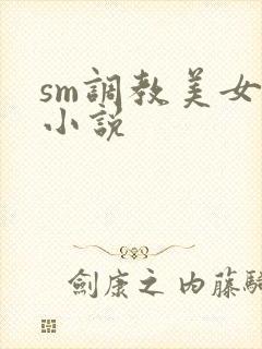 sm调教美女的小说封面