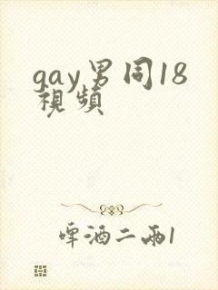 gay男同18视频