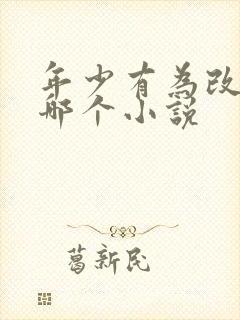 年少有为改编自哪个小说