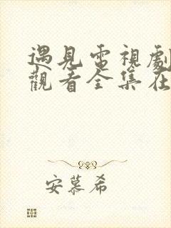 遇见电视剧免费观看全集在线播放