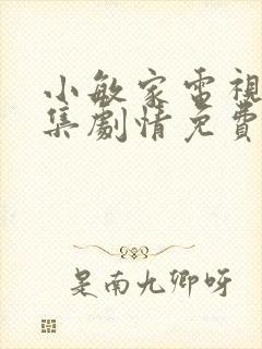 小敏家电视剧全集剧情免费观看