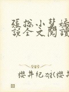 张总小慧娇妻小说全文阅读