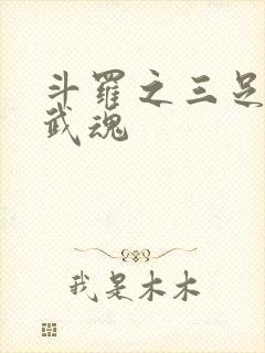 斗罗之三足金乌武魂