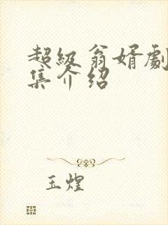 超级翁婿剧情分集介绍