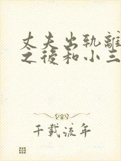 丈夫出轨离婚了之后和小三会幸福吗封面