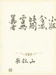 暴雪时分小说原著无删减版